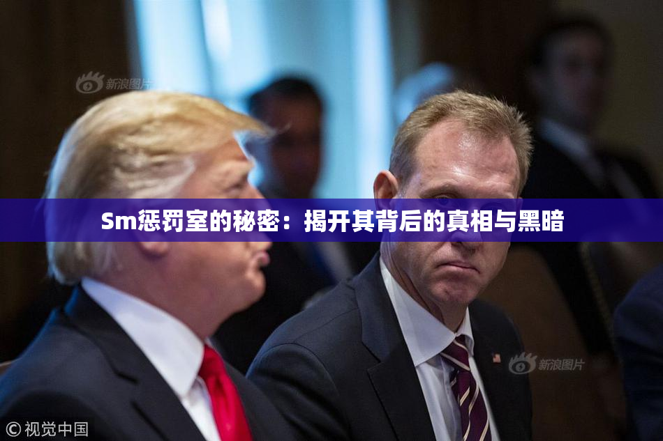 Sm惩罚室的秘密：揭开其背后的真相与黑暗