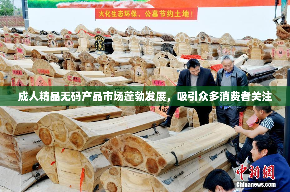 成人精品无码产品市场蓬勃发展，吸引众多消费者关注