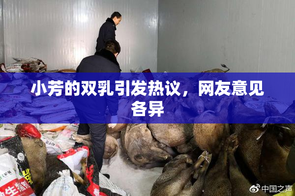 小芳的双乳引发热议，网友意见各异