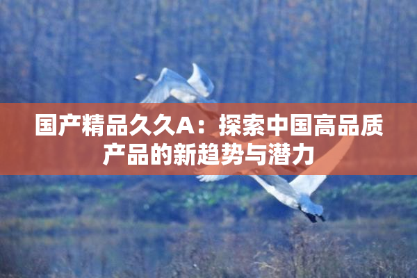 国产精品久久A：探索中国高品质产品的新趋势与潜力