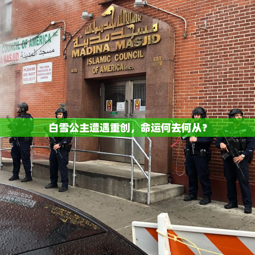 白雪公主遭遇重创，命运何去何从？
