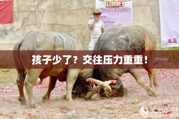 孩子少了？交往压力重重！