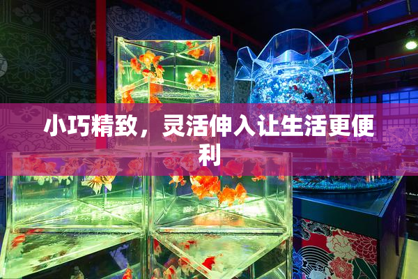 小巧精致，灵活伸入让生活更便利