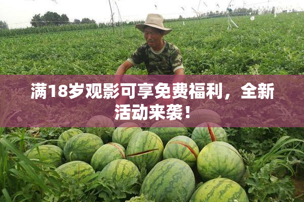 满18岁观影可享免费福利，全新活动来袭！