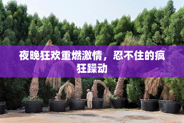 夜晚狂欢重燃激情，忍不住的疯狂躁动