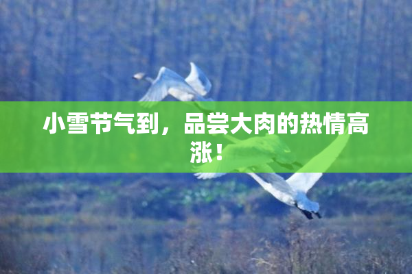 小雪节气到，品尝大肉的热情高涨！