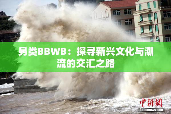 另类BBWB：探寻新兴文化与潮流的交汇之路