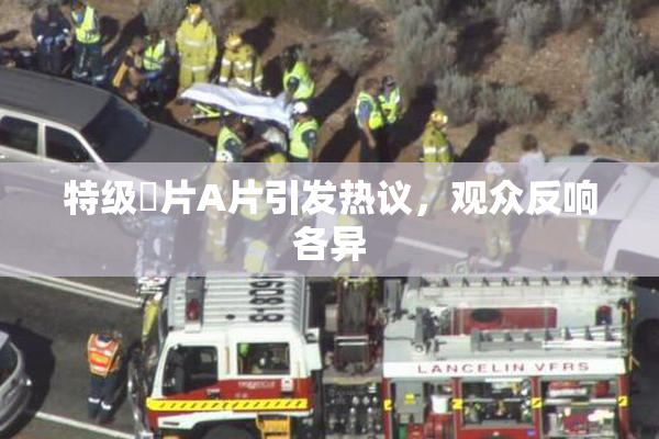 特级婬片A片引发热议，观众反响各异