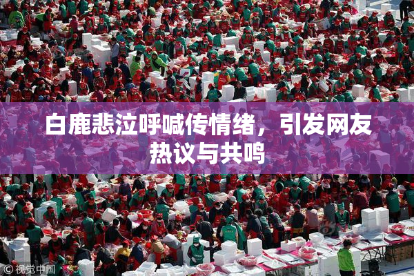 白鹿悲泣呼喊传情绪，引发网友热议与共鸣