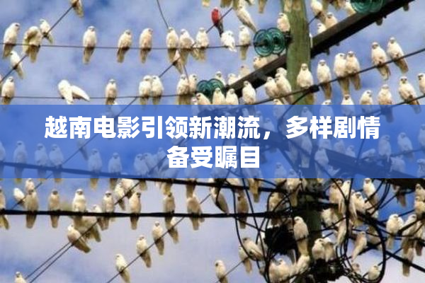 越南电影引领新潮流，多样剧情备受瞩目