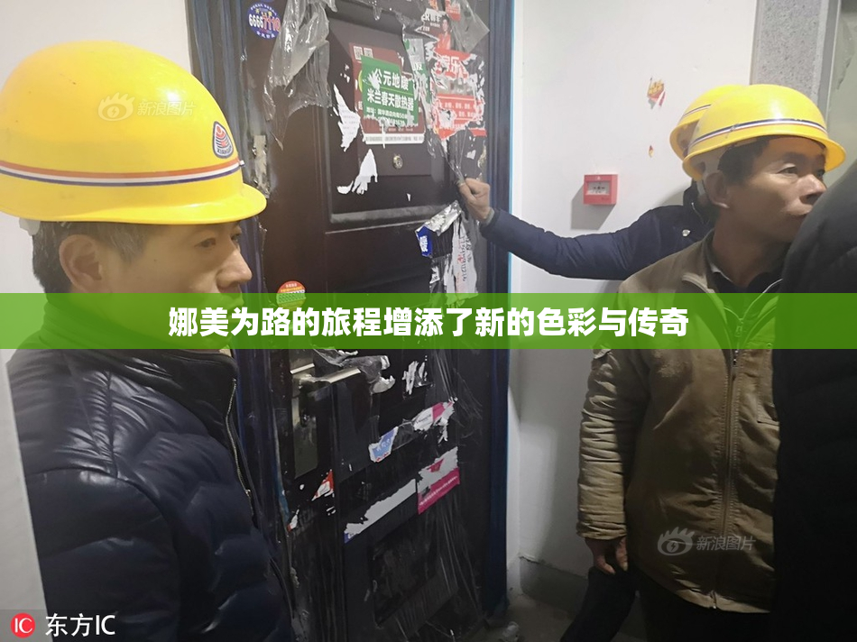 娜美为路的旅程增添了新的色彩与传奇