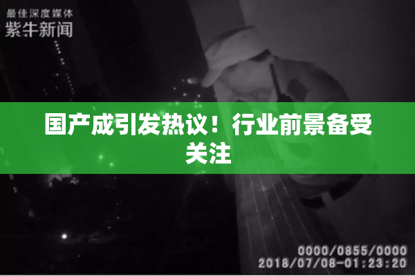 国产成引发热议！行业前景备受关注