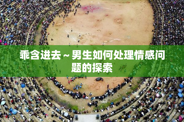 乖含进去～男生如何处理情感问题的探索