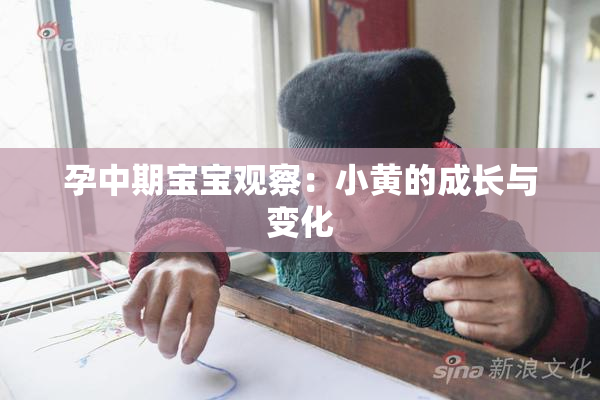 孕中期宝宝观察：小黄的成长与变化