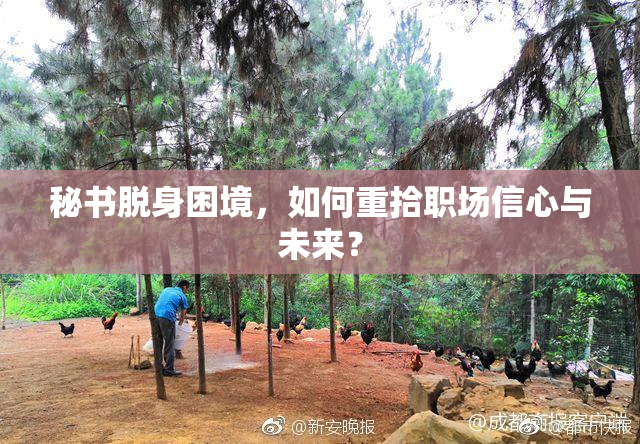 秘书脱身困境，如何重拾职场信心与未来？