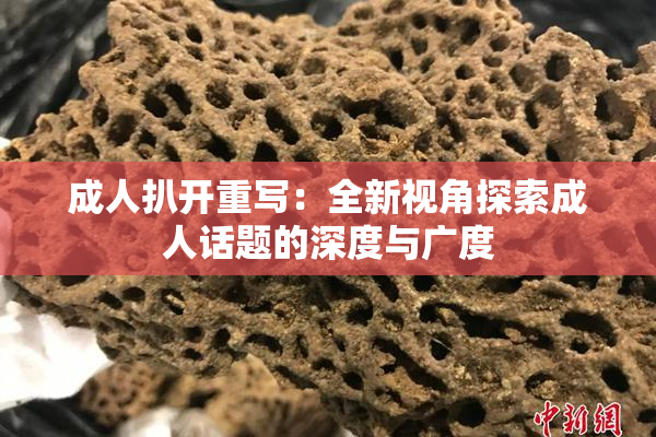 成人扒开重写：全新视角探索成人话题的深度与广度