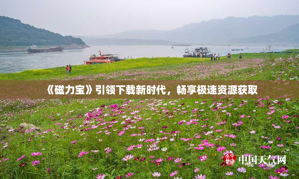 《磁力宝》引领下载新时代，畅享极速资源获取