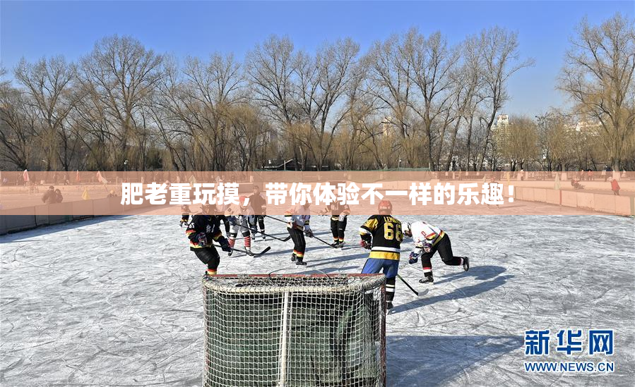 肥老重玩摸，带你体验不一样的乐趣！