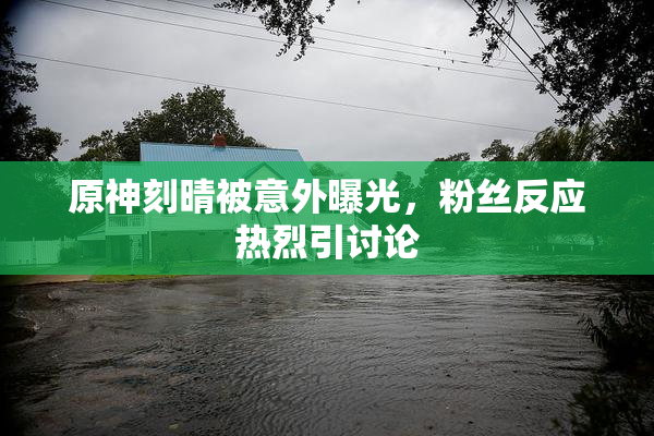 原神刻晴被意外曝光，粉丝反应热烈引讨论