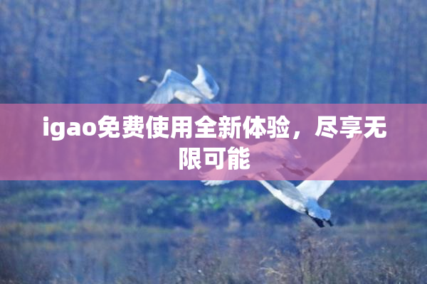 igao免费使用全新体验，尽享无限可能