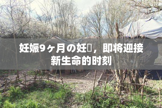 妊娠9ヶ月の妊婦，即将迎接新生命的时刻