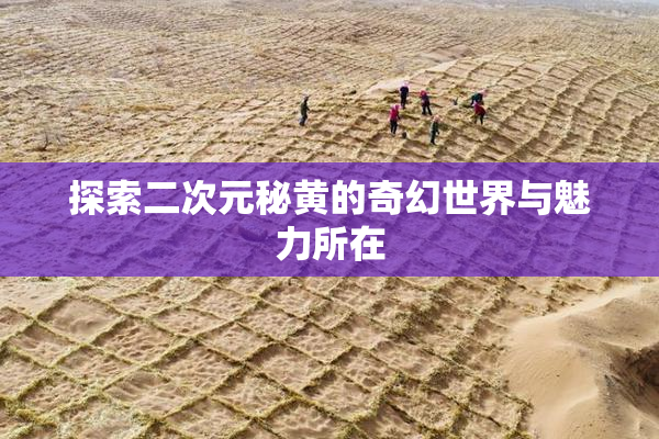 探索二次元秘黄的奇幻世界与魅力所在