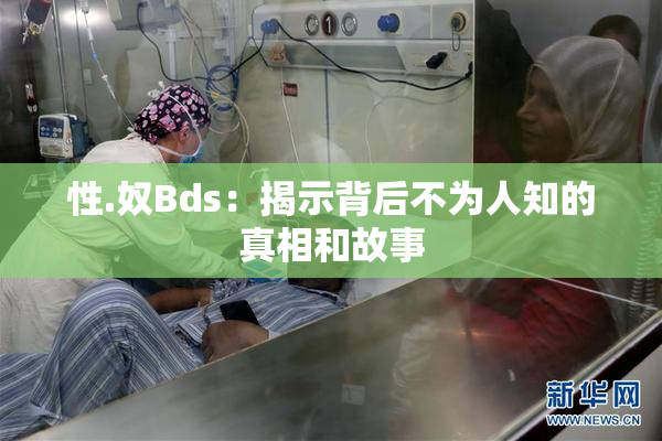 性.奴Bds：揭示背后不为人知的真相和故事