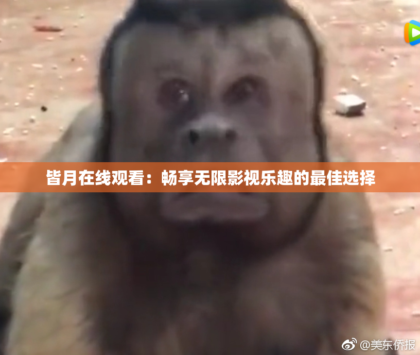 皆月在线观看：畅享无限影视乐趣的最佳选择