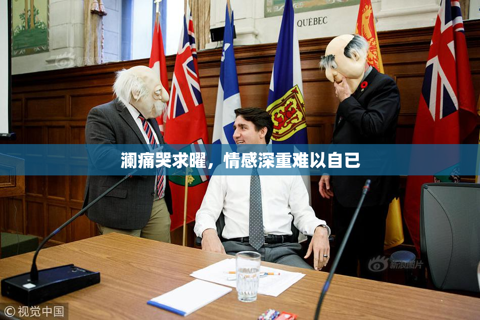 澜痛哭求曜，情感深重难以自已