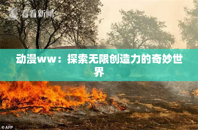 动漫ww：探索无限创造力的奇妙世界