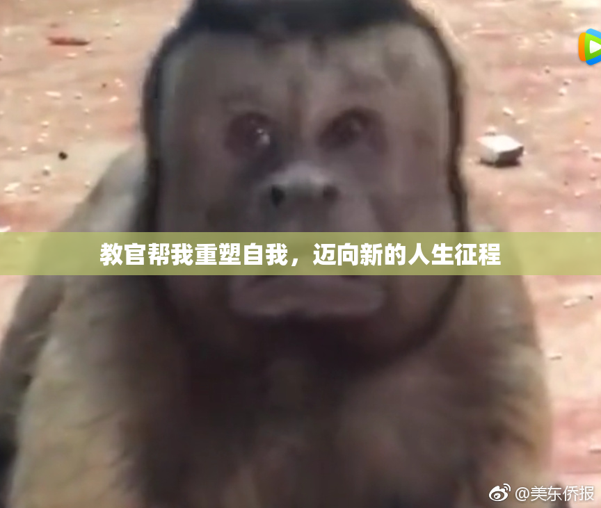 教官帮我重塑自我，迈向新的人生征程