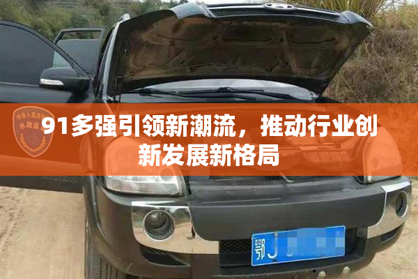91多强引领新潮流，推动行业创新发展新格局