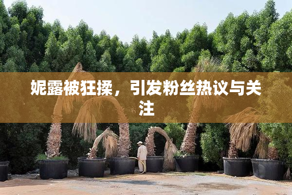 妮露被狂揉，引发粉丝热议与关注