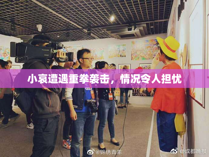 小哀遭遇重拳袭击，情况令人担忧