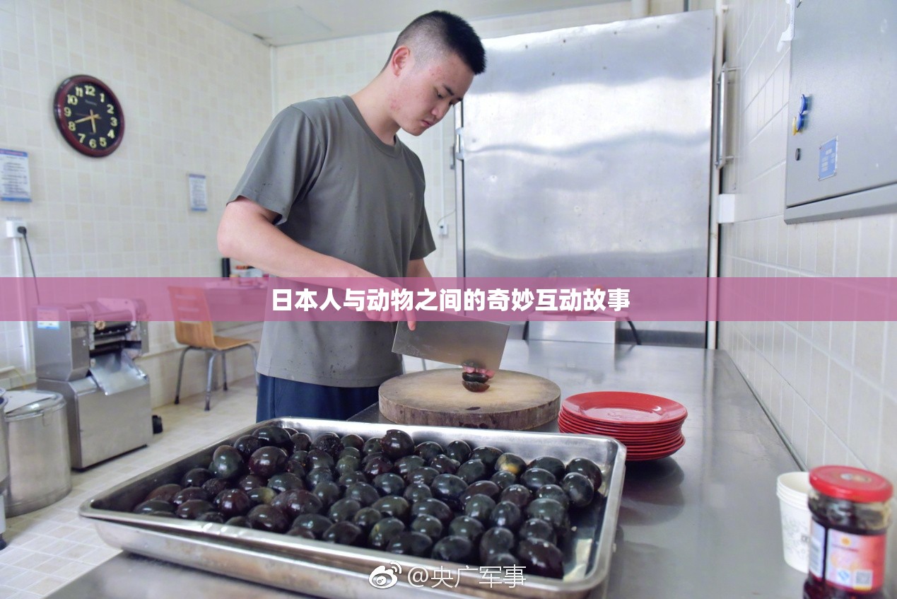日本人与动物之间的奇妙互动故事