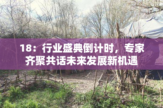 18：行业盛典倒计时，专家齐聚共话未来发展新机遇