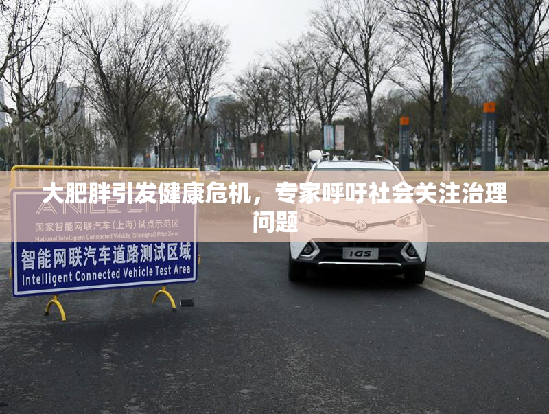 大肥胖引发健康危机，专家呼吁社会关注治理问题