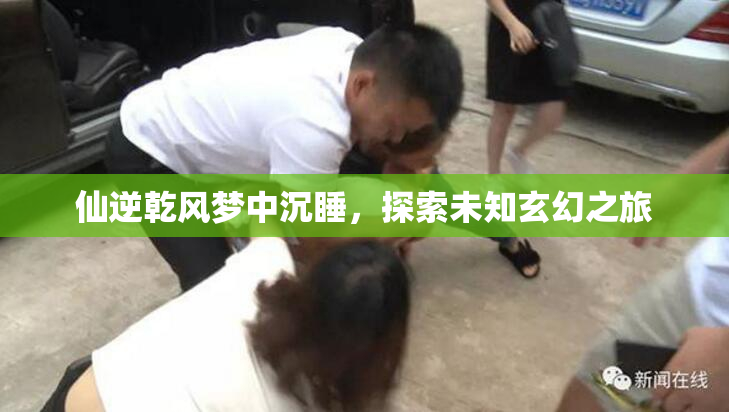 仙逆乾风梦中沉睡，探索未知玄幻之旅