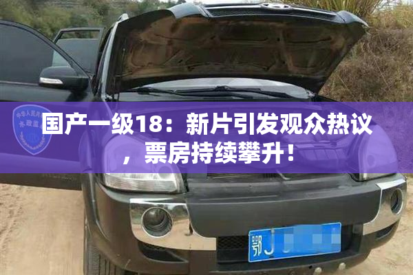 国产一级18：新片引发观众热议，票房持续攀升！