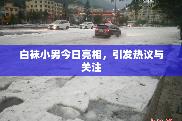 白袜小男今日亮相，引发热议与关注