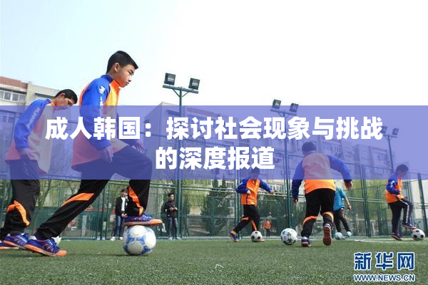 成人韩国：探讨社会现象与挑战的深度报道
