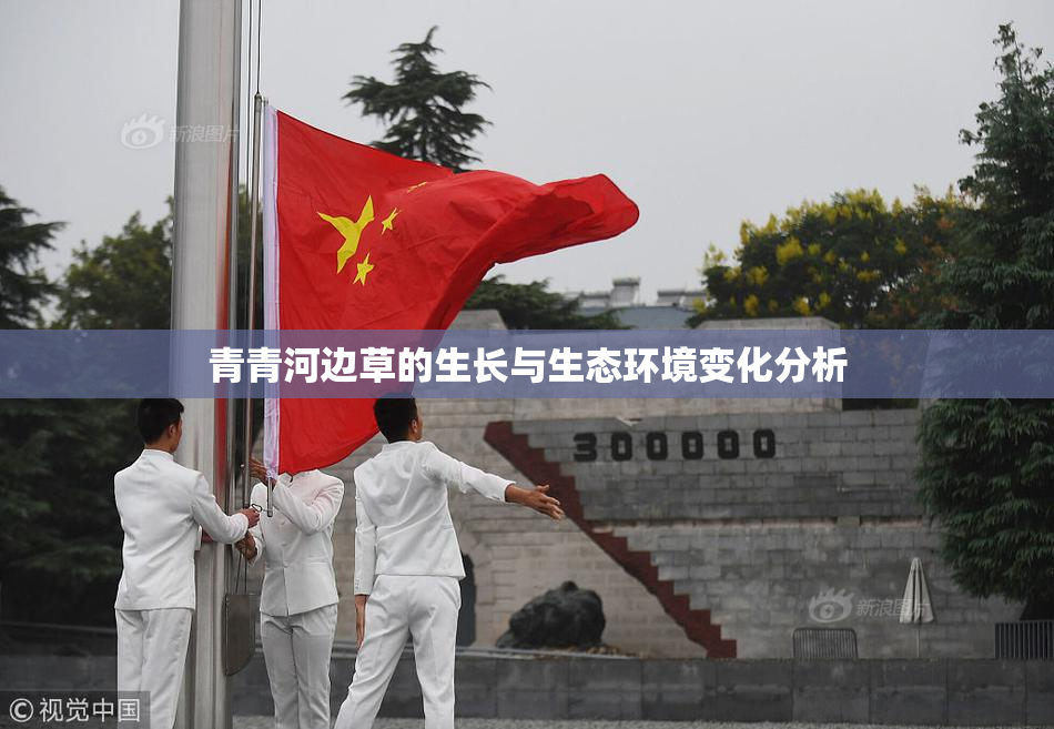 青青河边草的生长与生态环境变化分析