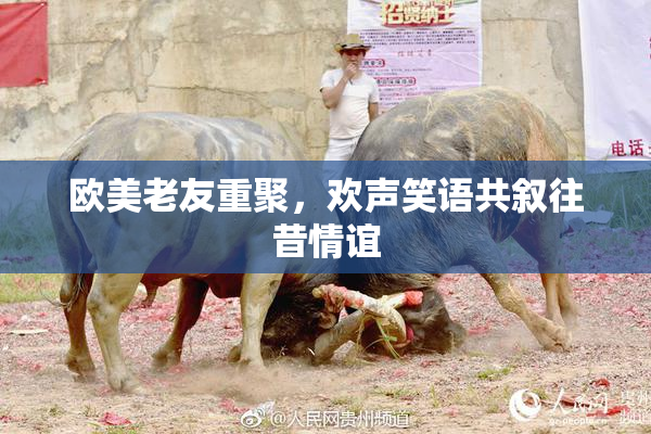 欧美老友重聚，欢声笑语共叙往昔情谊