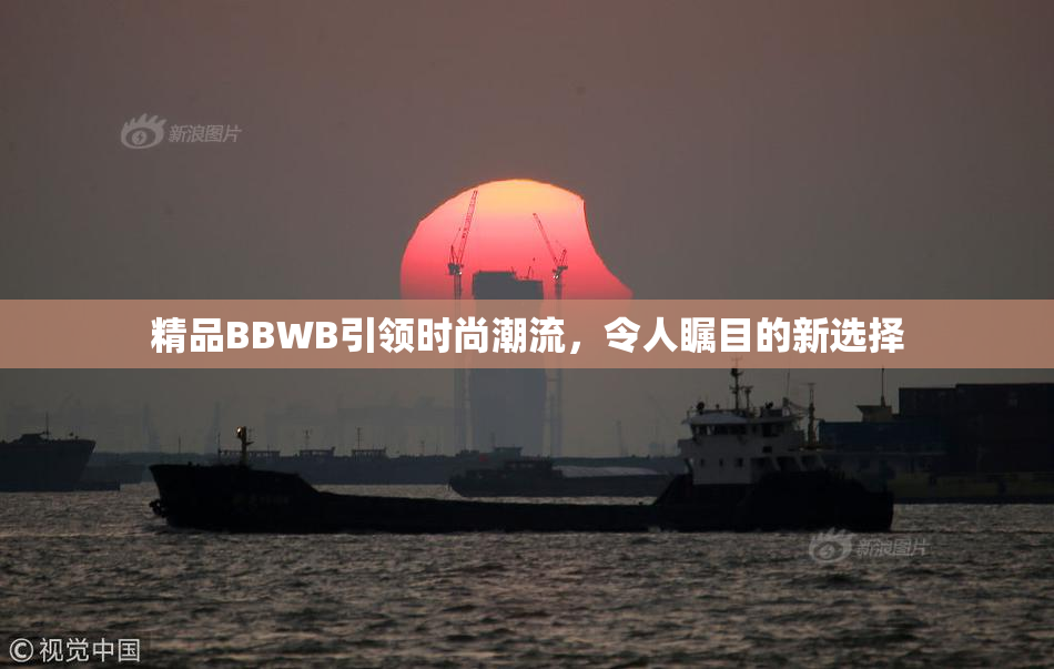 精品BBWB引领时尚潮流，令人瞩目的新选择