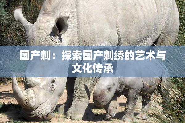 国产刺：探索国产刺绣的艺术与文化传承
