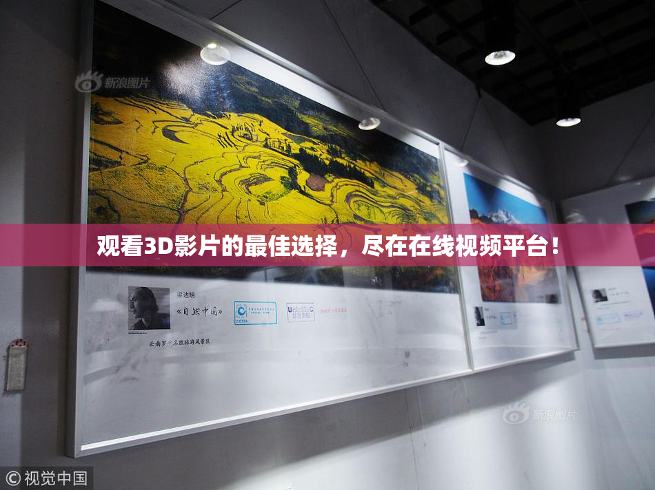 观看3D影片的最佳选择，尽在在线视频平台！