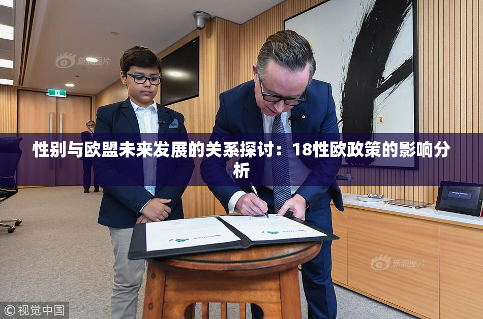 性别与欧盟未来发展的关系探讨：18性欧政策的影响分析