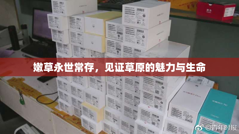 嫩草永世常存，见证草原的魅力与生命