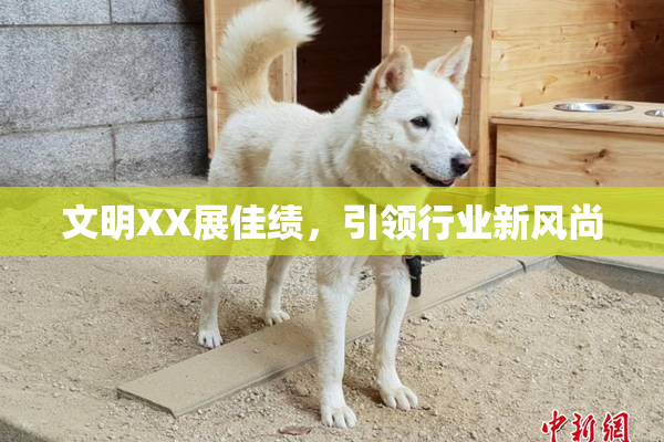 文明XX展佳绩，引领行业新风尚