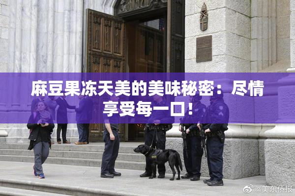 麻豆果冻天美的美味秘密：尽情享受每一口！